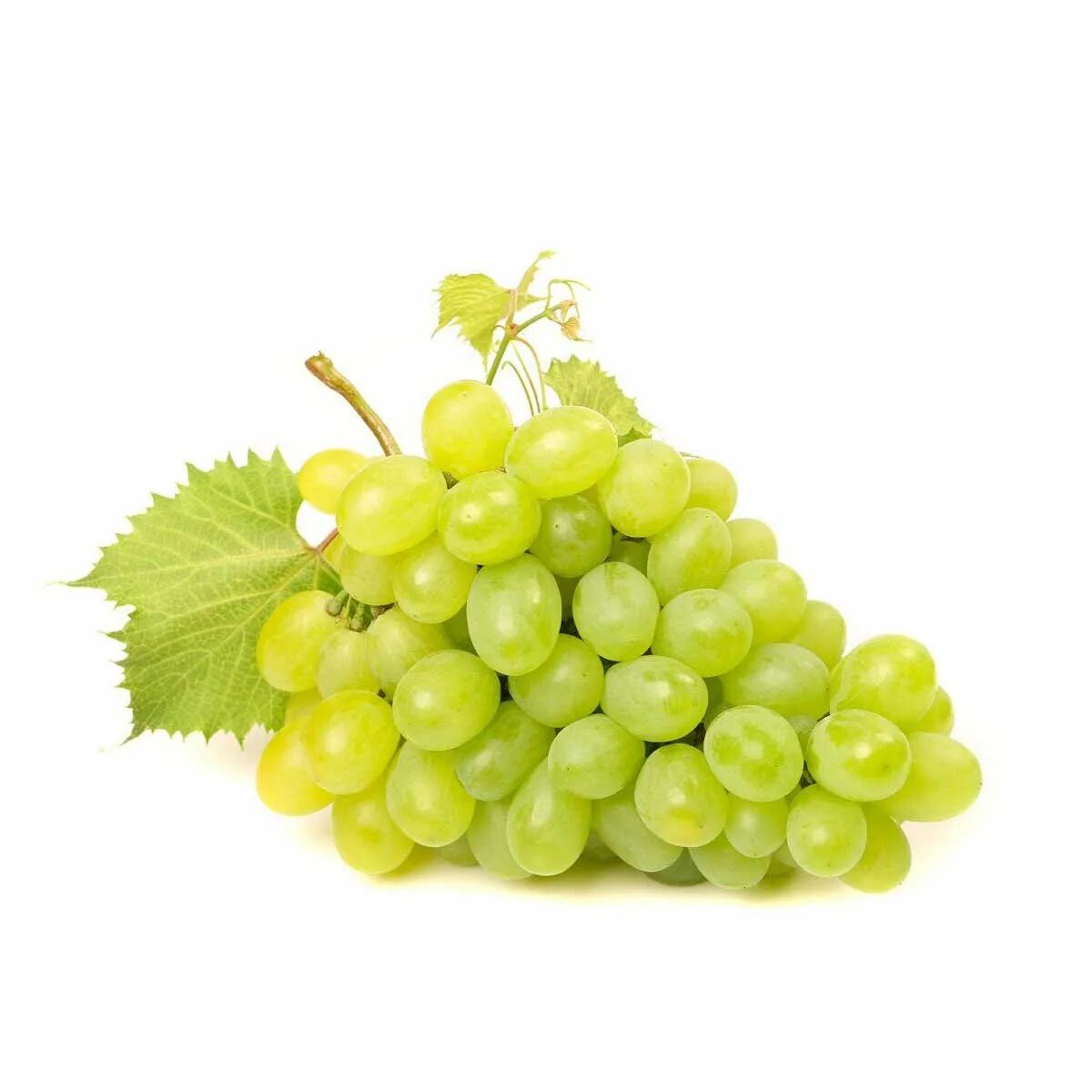 White grape