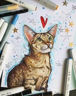 Нарисовать котика маркерами