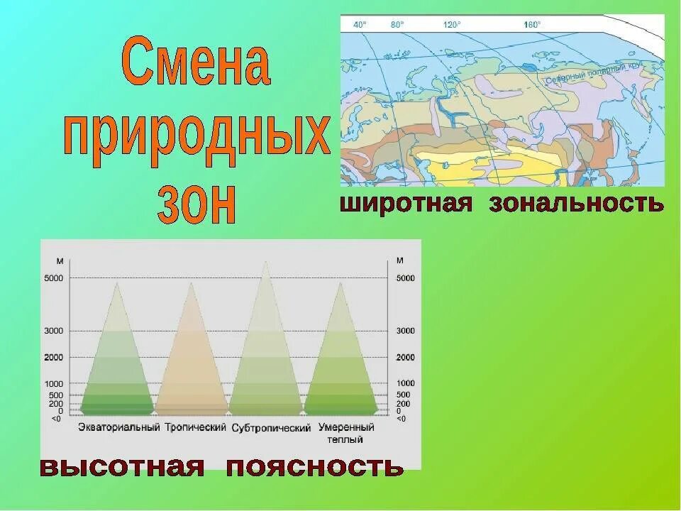 Зональность Высотная поясность. Широтная поясность. Широтная зональность и Высотная поясность. Схема природных зон.