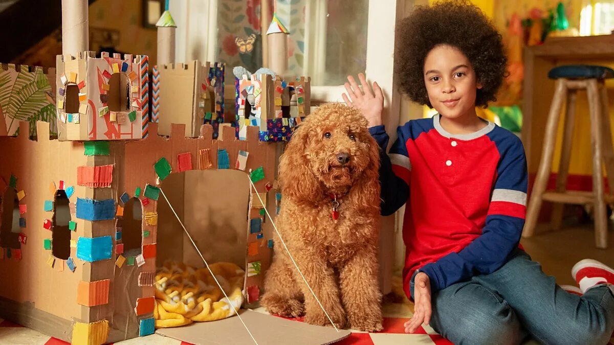 Вафлик. Вафлик-говорящий пес порода. Вафлик говорящий пес. Waffle the wonder dog. Вафлик-говорящий пес порода.