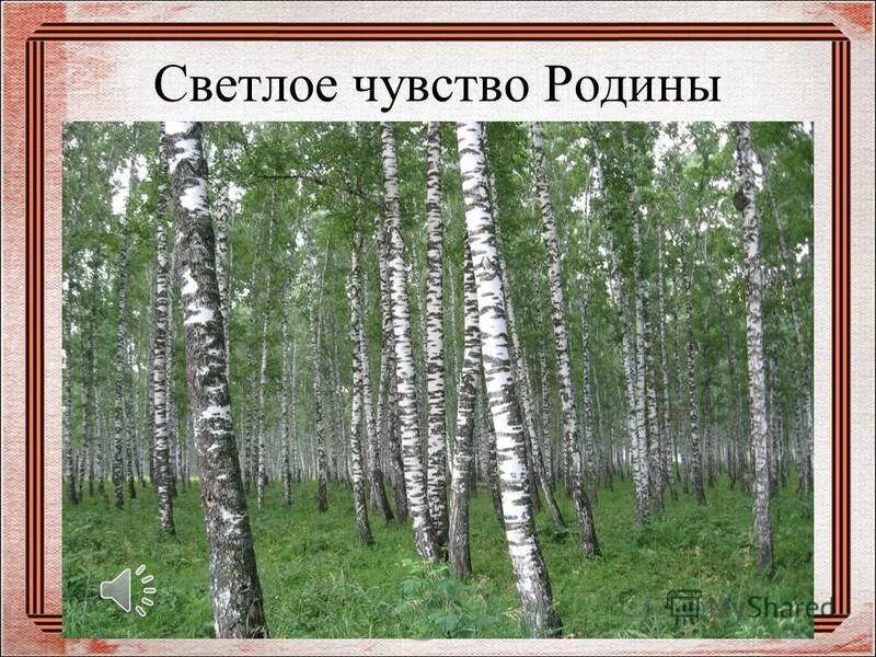 Из чего складывается чувство родины. Чувство Родины. Тема: чувство Родины.. Проект на тему чувство Родины. Чувство Родины картинки.