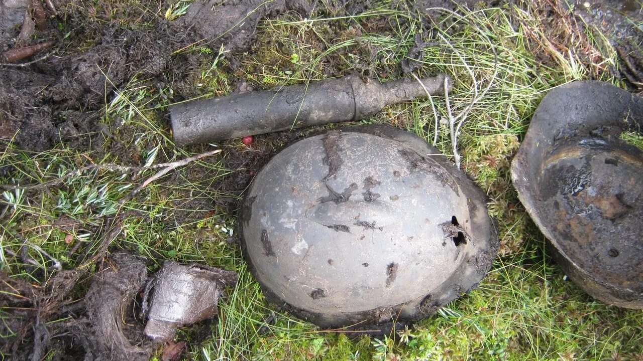 хлебное болото