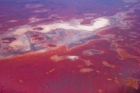 Эйр норт озеро на каком материке