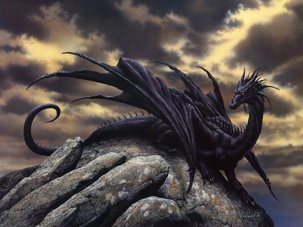 Кируэло Кабрал дракон. Ciruelo Cabral драконы. Гебридский чёрный дракон. Дракон Блэк драгон. Драконы высокого качества