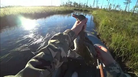 Открытие охоты на водоплавающую дичь алтайский край