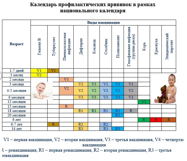 В рамках национального календаря. Схема профилактической вакцинации. Составьте план профилактических прививок ребенку до 1 года. График плановых прививок для детей. Журнал прививок для детей до 3 лет.