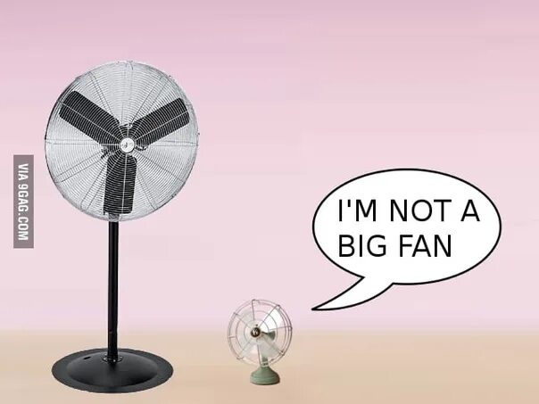 Your biggest fan. Big вентилятор. Вентилятор Мем. С днем вентилятора. Funny вентиляторы.