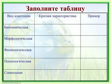 Таблица адаптации 11 класс
