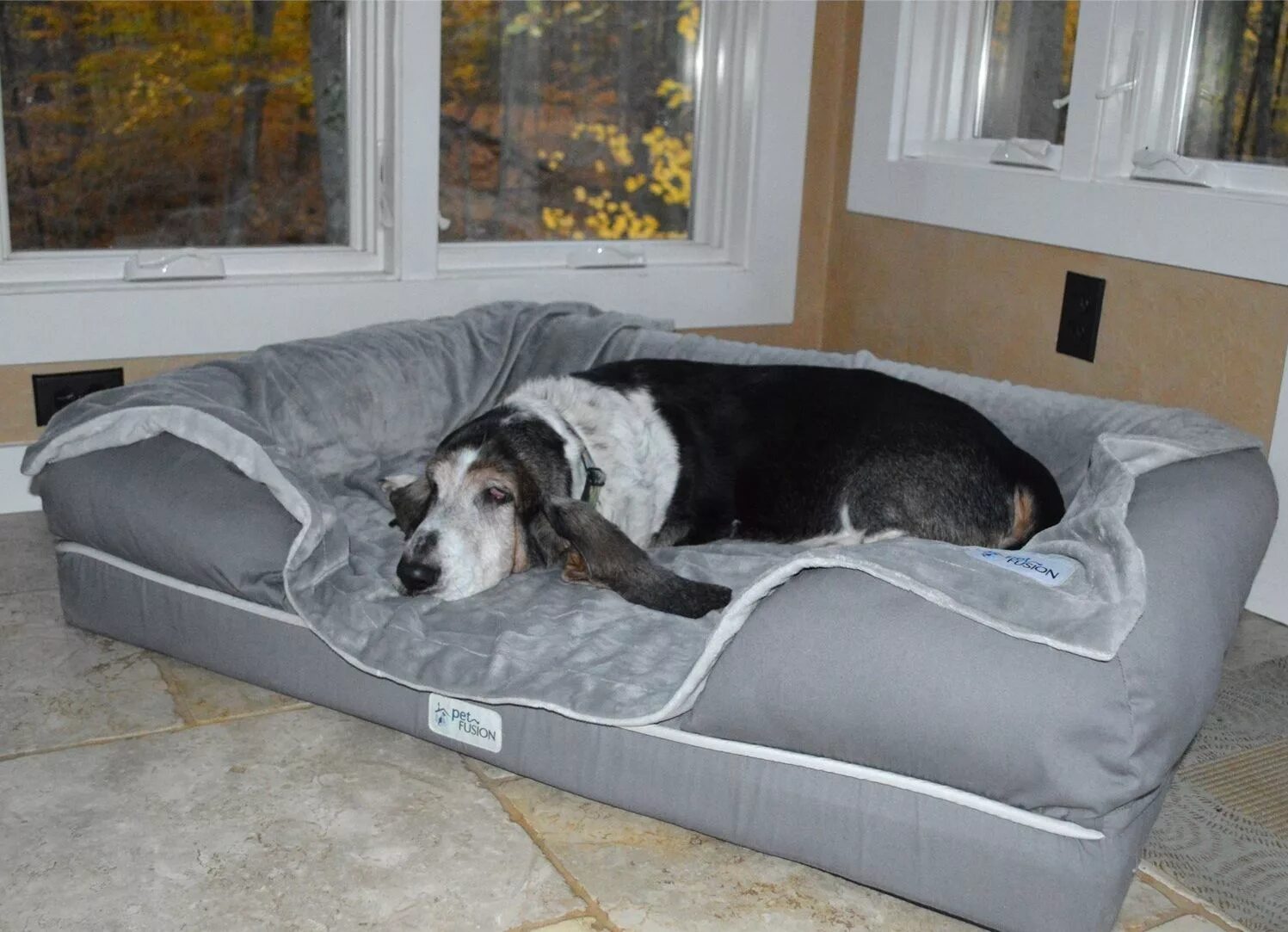Собачья кровать для человека. Спальное место для собаки. Лежанки для крупных собак. Спальные места для больших собак. Место для большой собаки.