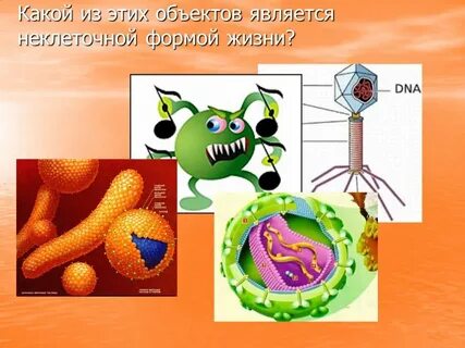 Признаки организмов характерные для неклеточной формы жизни