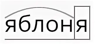 Разбор слова по составу яблоневый