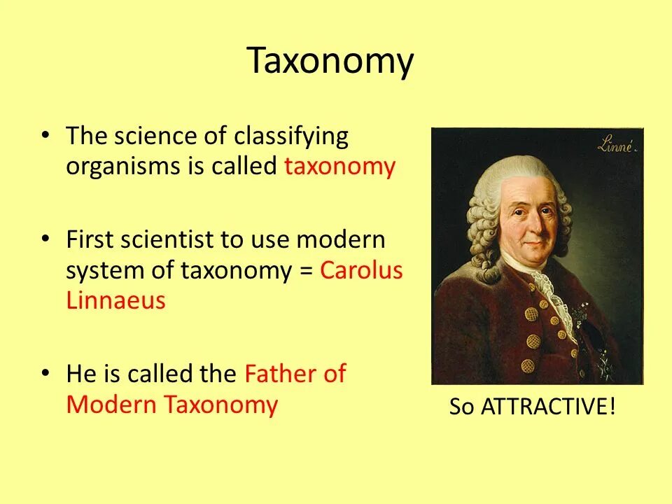 The science is called. Linnean system of classification. classification of sciences.