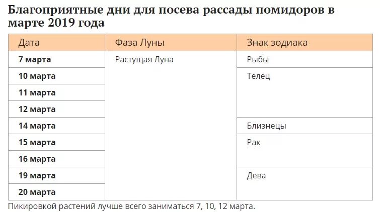 Можно ли сеять помидоры на рассаду сегодня