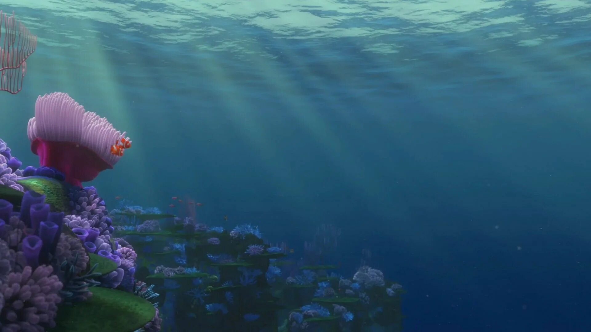 Немо тихий океан. В поисках Немо океан. Тема подводный мир. Подводный мир без рыбок.