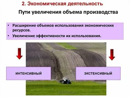 Увеличение объема оказанных услуг