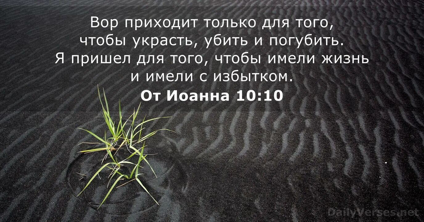 Я воровал я убивал