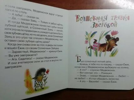 Волшебная травка зверобой