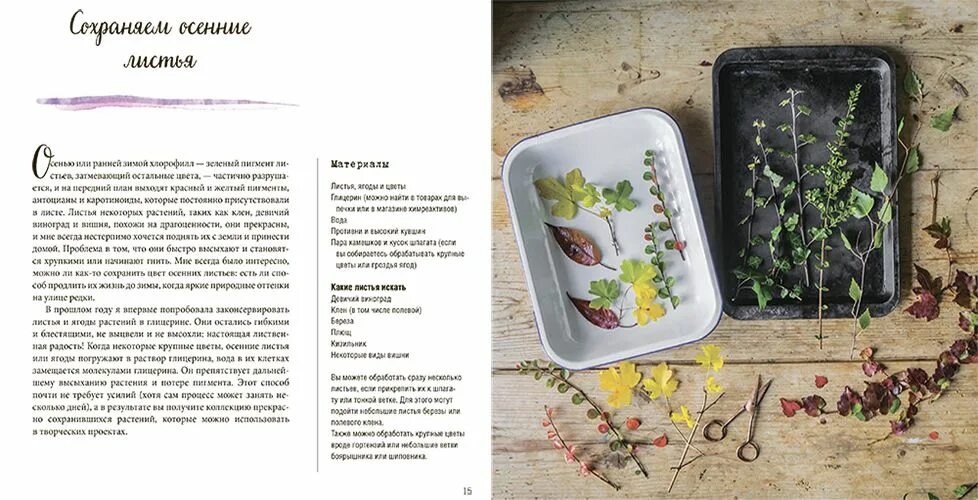 Холодное время читать
