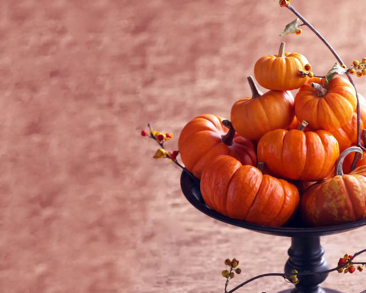 тыква на столе. тыква. тыква на столе. тыква это ягода. тыква тейбл квин буш.