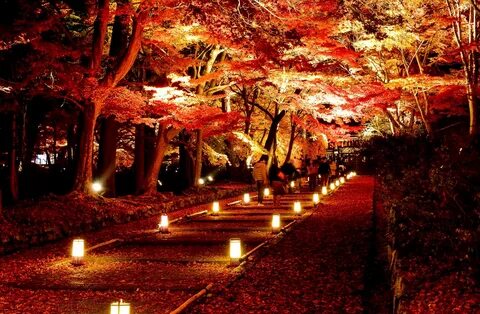 Beautiful lighting