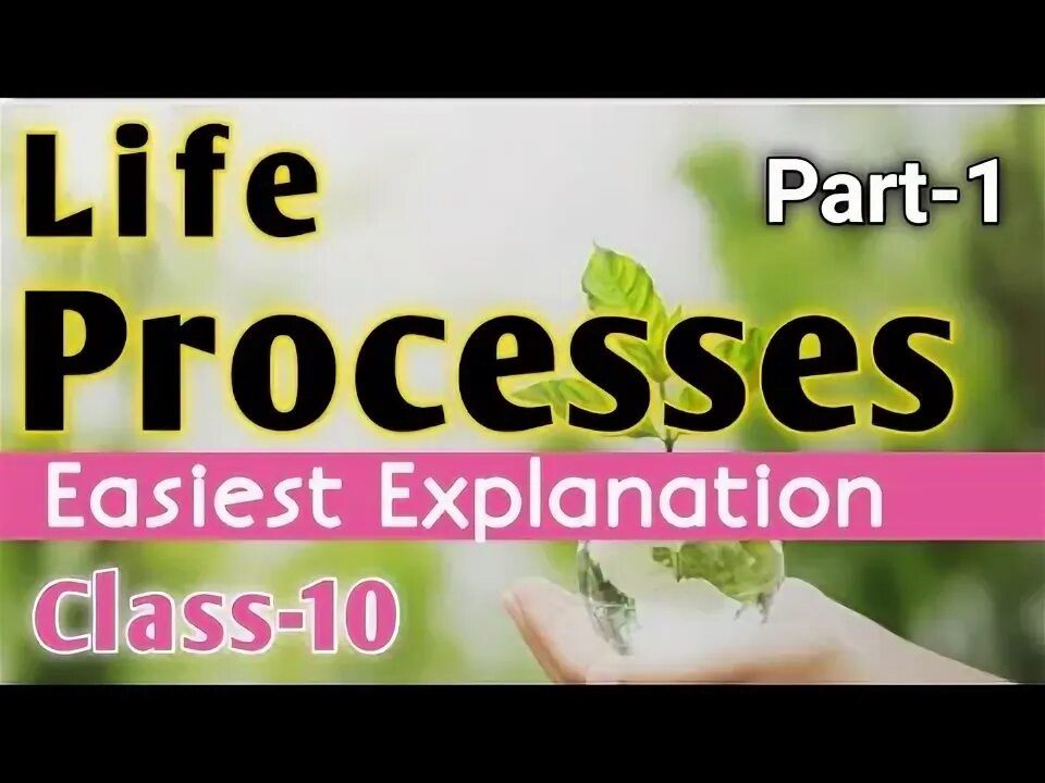 Enza Zaden для рекламы. Life processes