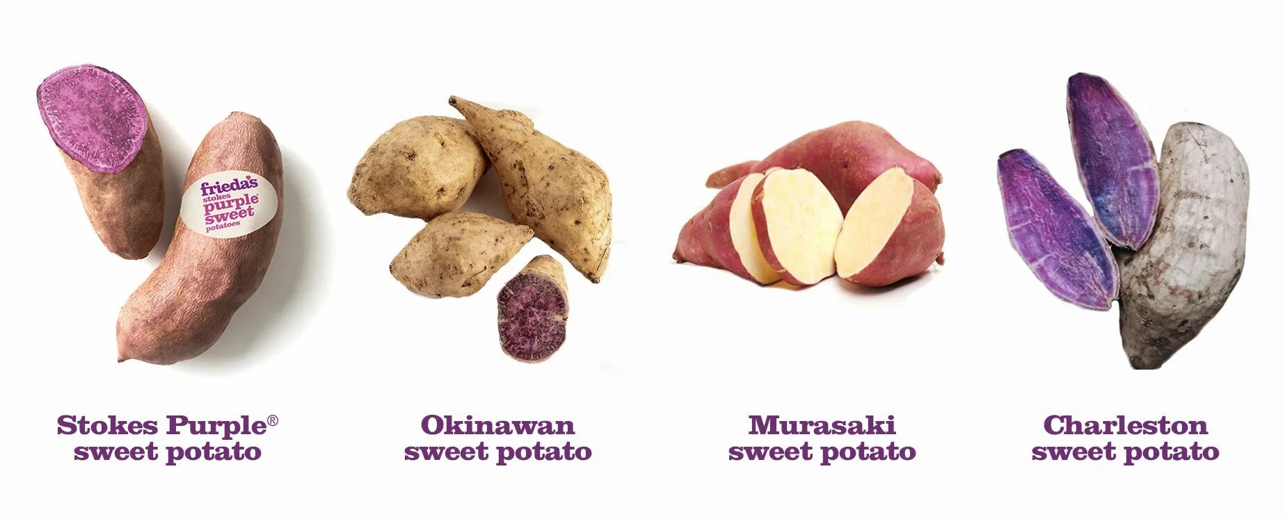 Батат бжу. Фиолетовый батат. purple sweet potato. пурпурный ямс. батат фиолетовый пурпурный.