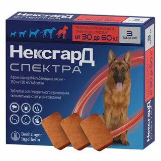 Безопасное средство от клещей для собак