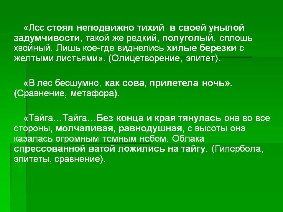 Лес эпитеты. Безмолвный лес это эпитет. Олицетворение леса. Неподвижно тихий.