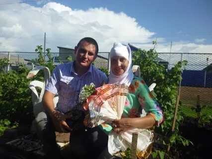 Погода в новое ибрайкино на 10 дней