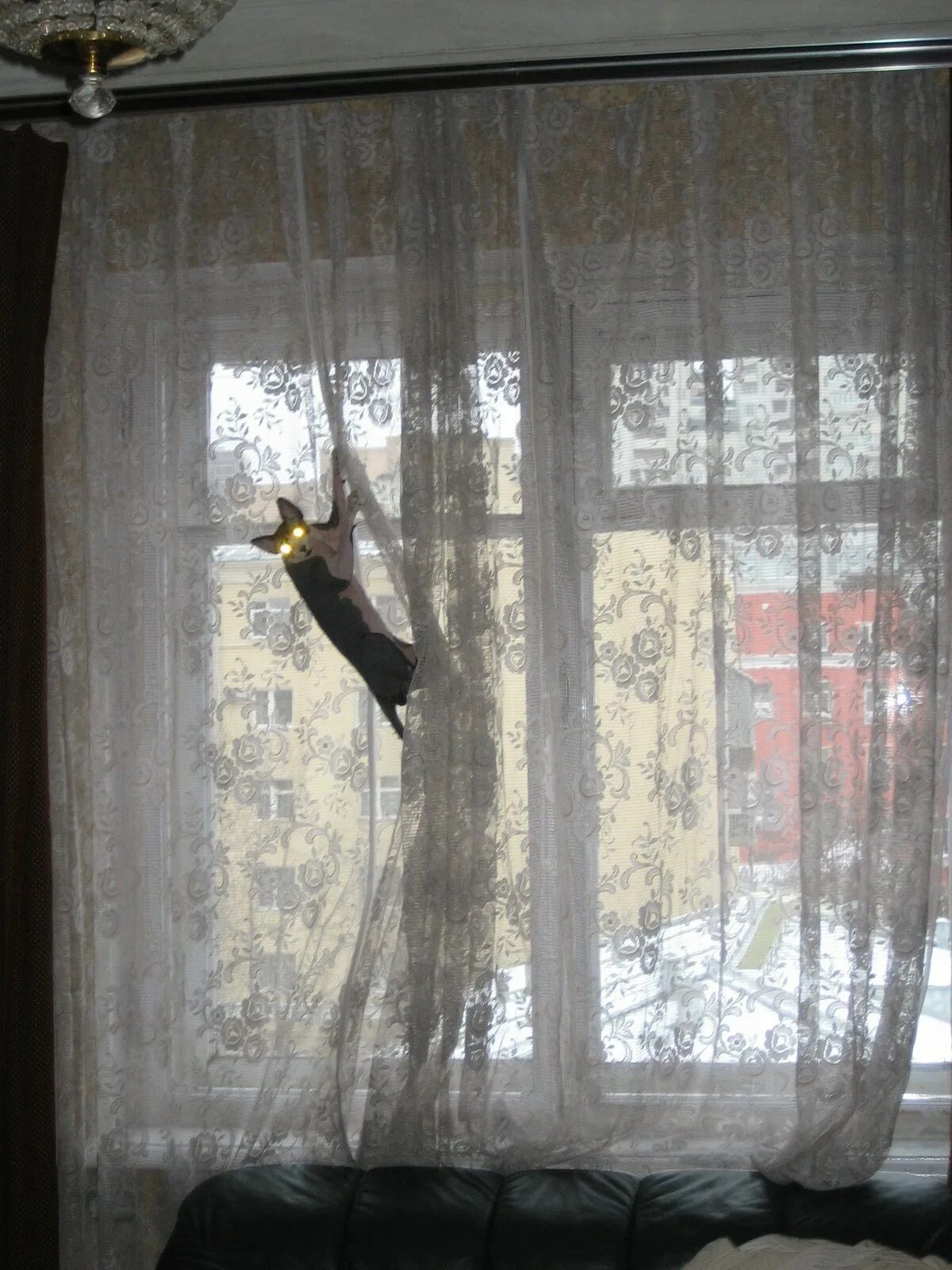 Муж, ты что творишь? Ты ж мне сейчас влагалище нахрен разорвёшь