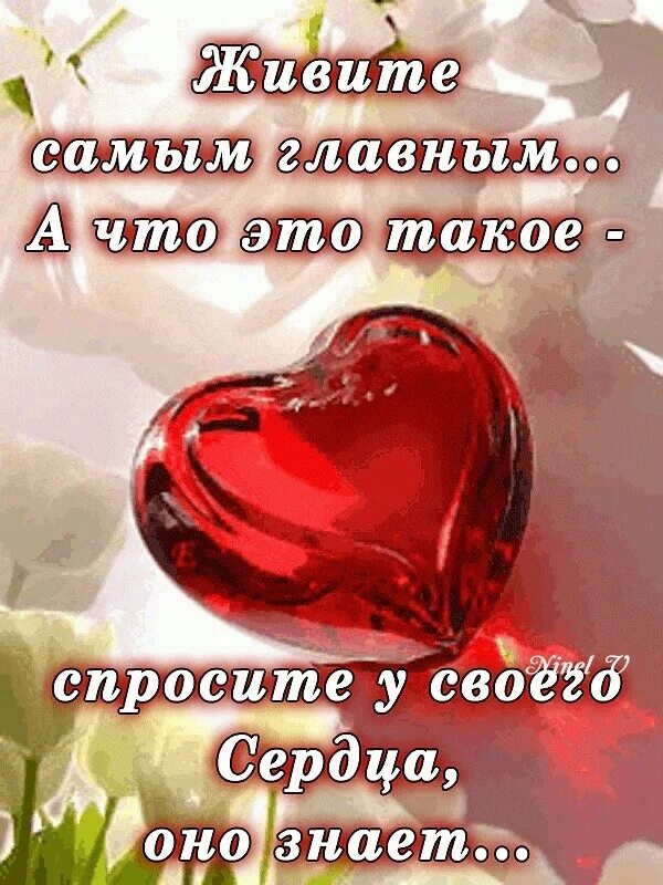 Ты в моём сердце. Ты всегда в моем сердце. Я к тебе со всею душой. Пусть я не рядом но всегда с тобой. Только сердце знает.