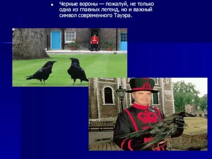 Ворон хозяина не выбирает