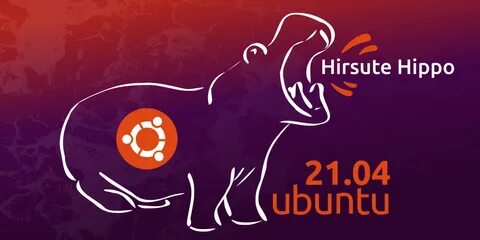 Linux 21