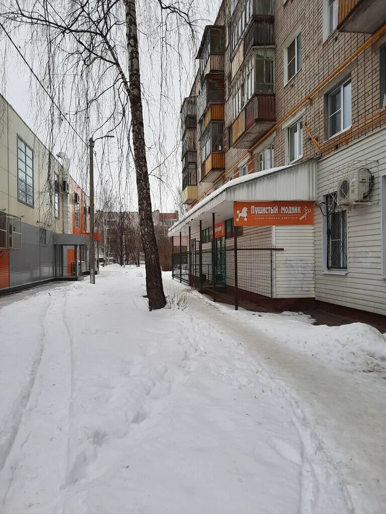 пушистый модник йошкар. стрижка собак вологда. пушистый модник йошкар. пушистый модник йошкар. пушистый модник.