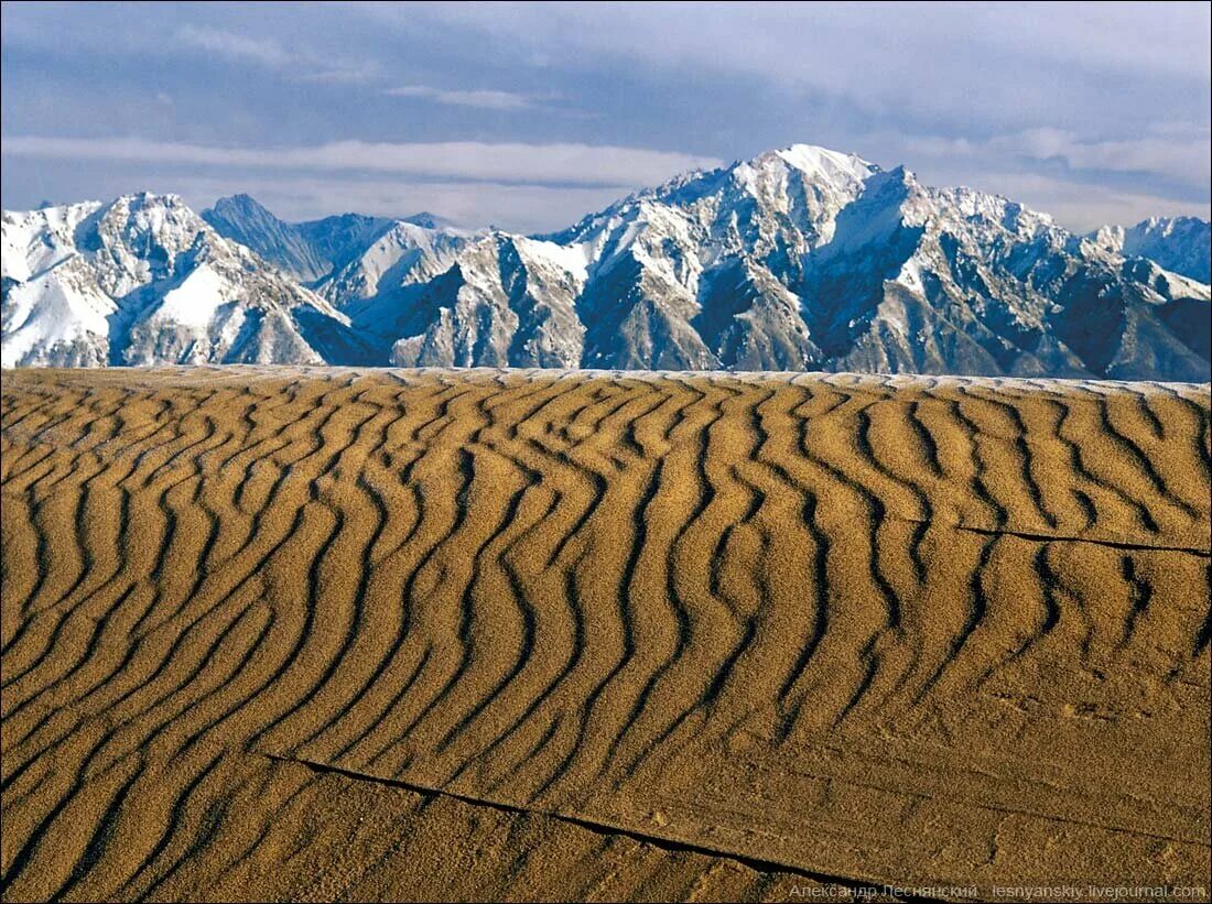 Чаракт. Чаракт. Чарские пески каларский район. Забайкальский край хребет кодар чарские пески. Геншин персонажи имена.