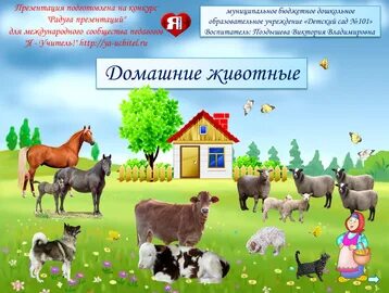 Неделя домашние животные в подготовительной группе