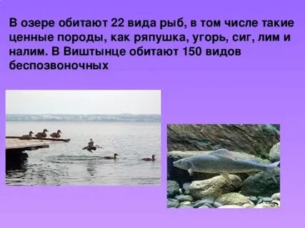 В каком озере обитает
