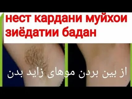 Эссе нест бе ранч рохати дуне