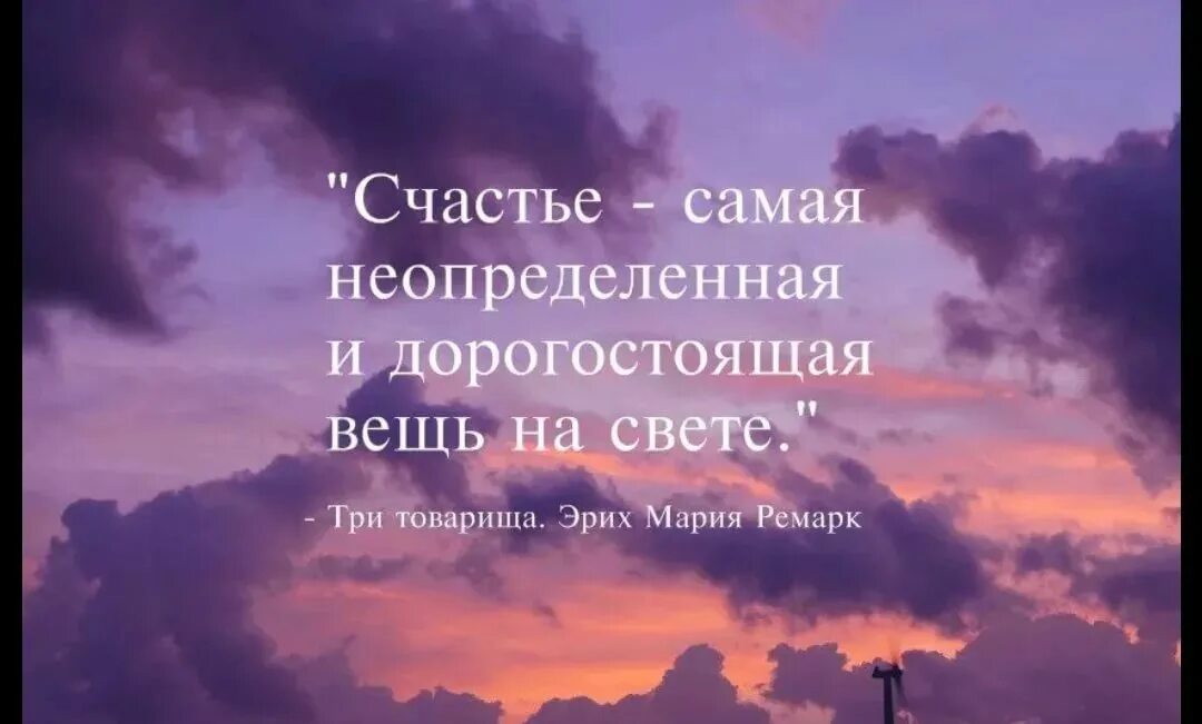 Смысл счастья цитаты. Смысл счастья цитаты