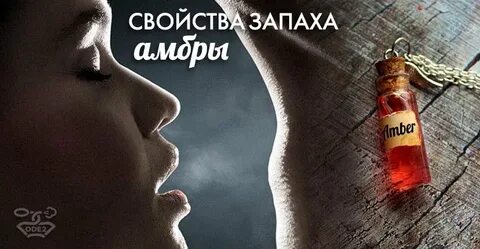 Свойства запаха