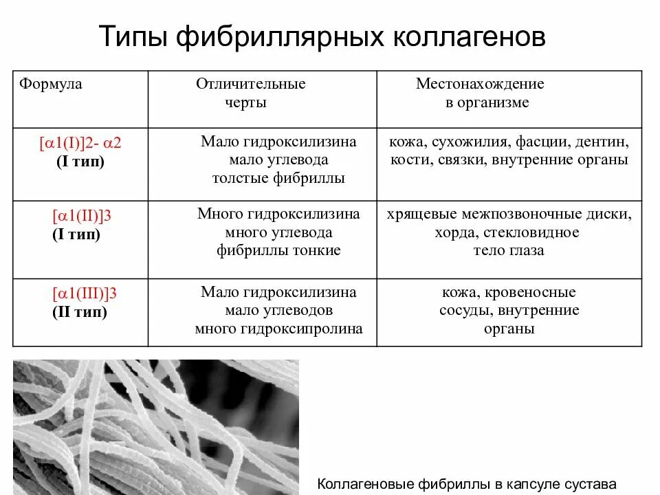 Распределение различных типов коллагена. Фибриллярный коллаген формула. Микрофибриллярные типы коллагена.. Фибриллярная структура коллагена.