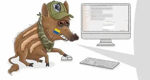Ципсо это