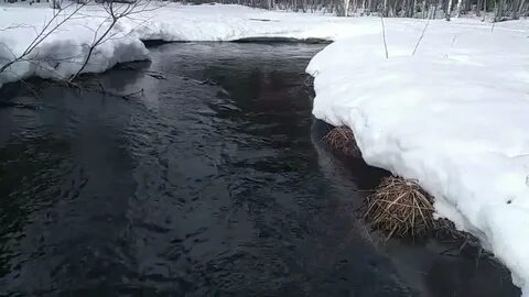Поют ручьи журчат ручьи