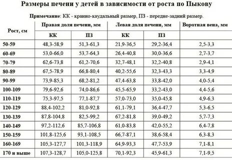 Квр правой доли норма у взрослого