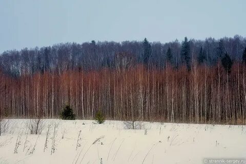 Клинско дмитровская