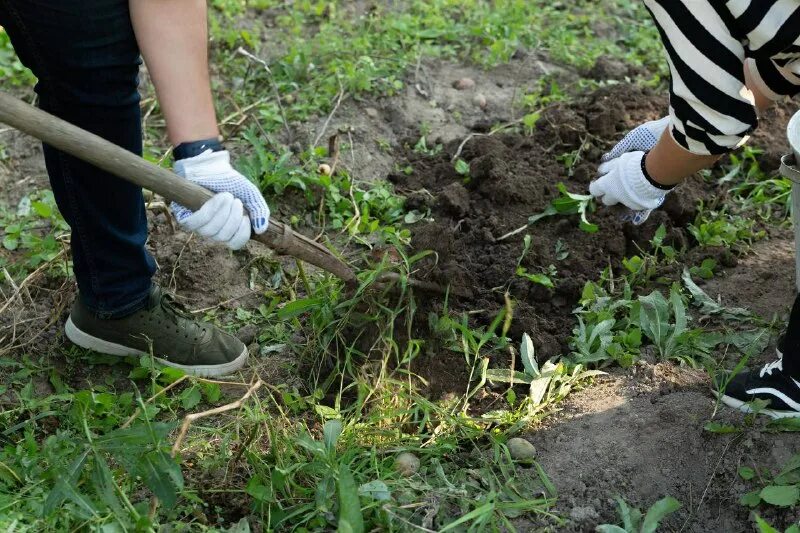 архитектура программного обеспечения. техпомощь на дороге. 1с бухобслуживание. у петровича мфо. сестринская помощь гинекологических больных.