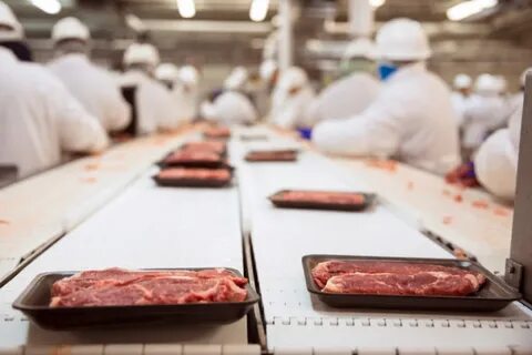 Мясо собственного производства
