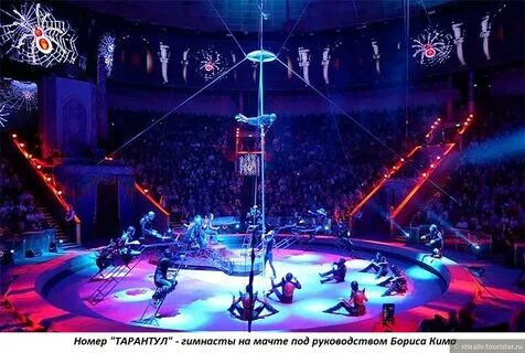 Сайт нижнего цирка