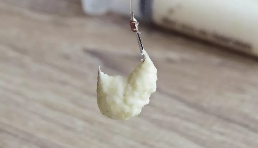 Насадки для рыбалки на карася
