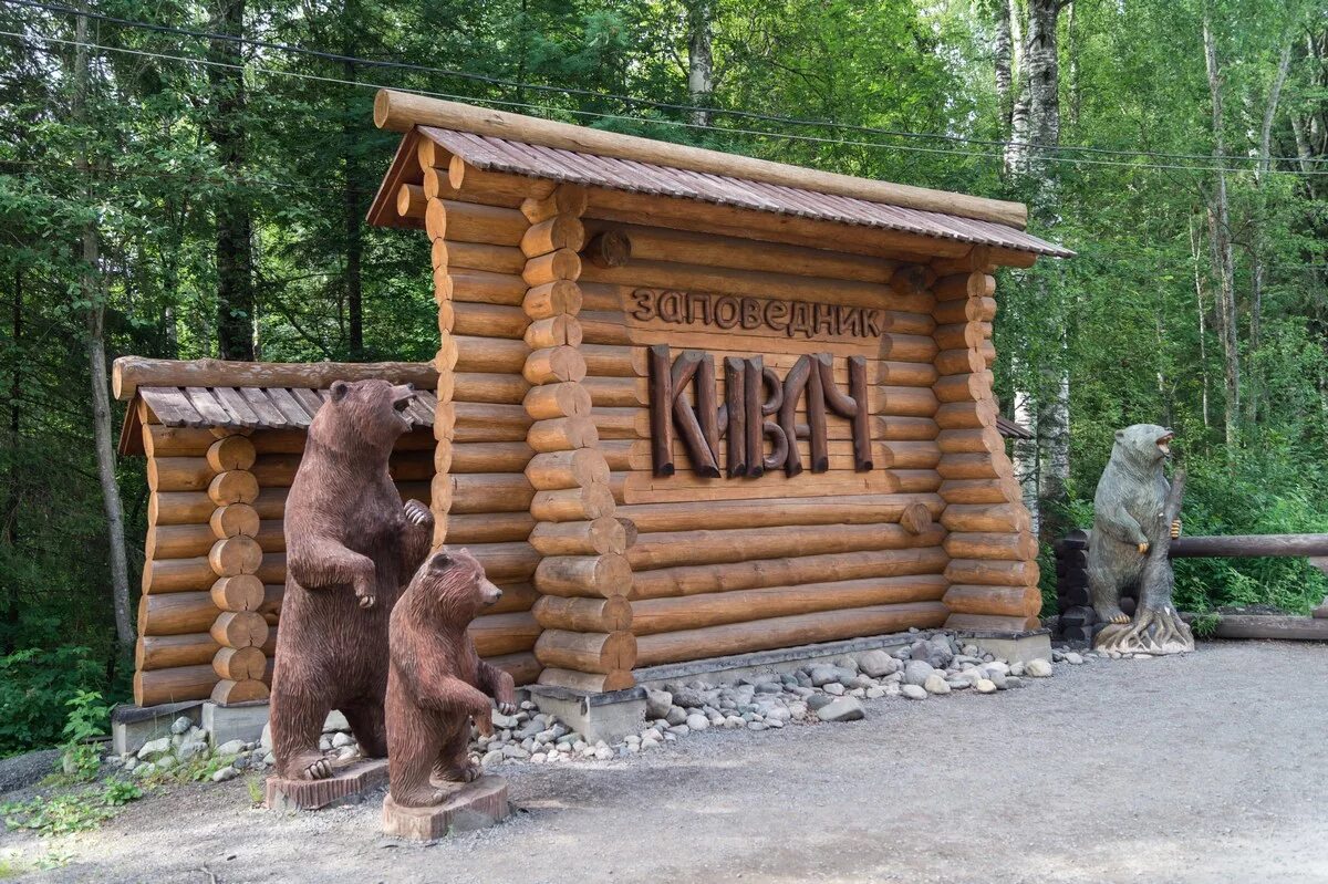 Национальный заповедник Кивач. Заповедник Кивач в Карелии. Заповедник и водопад Кивач. Водопад Кивач музей.